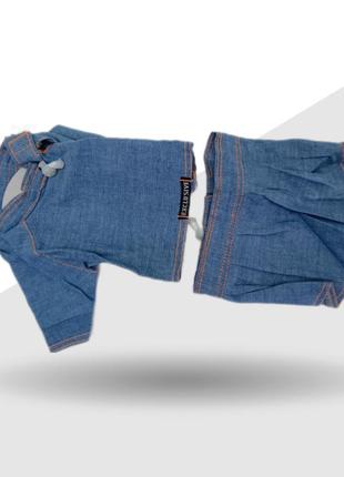 Костюм для собачки из джинса с юбкой 21 х 27 см2 фото