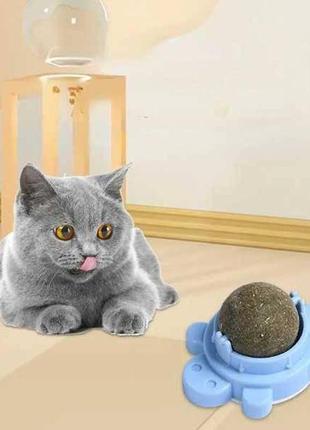 Кулька з котячою м'ятою на липучці черепашка блакитний1 фото