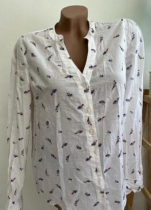 Рубашка блуза женский комфортный хлопок next s-m