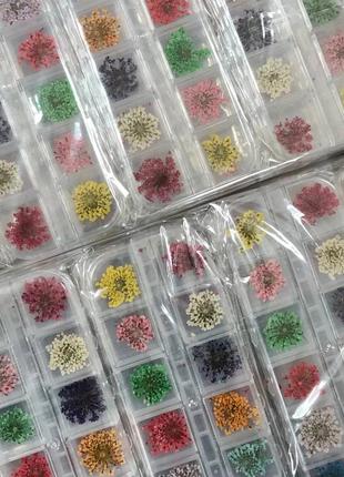 Набор сухоцветов в контейнере для декора ногтей, 12 шт2 фото
