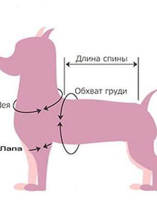 Шубка куртка для собак рожева  29х46 см3 фото