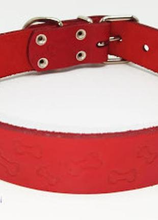 Нашийник для собак шкіряний кісточки