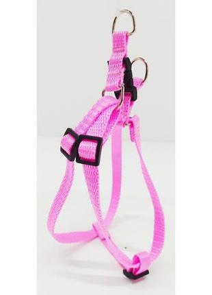 Шлея для собак капрон лорик