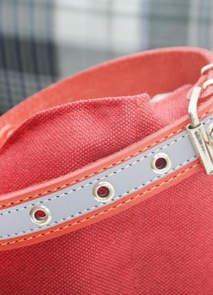 Кошійник для собак шкіряний зі світловідбивальним стрічковим накопичувачем 32-40