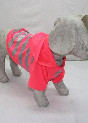 Блайзер толстовка для собаки неон 25*40