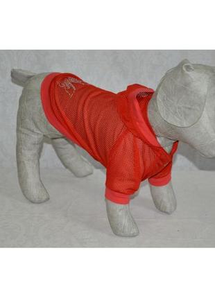 Блайзер куртка літня для собаки літо 21х27 см2 фото