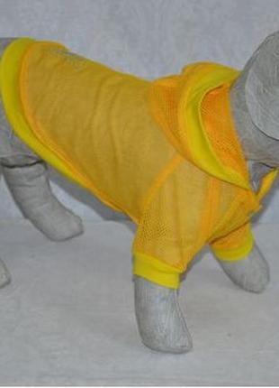 Блайзер куртка літня для собаки літо 21х27 см3 фото
