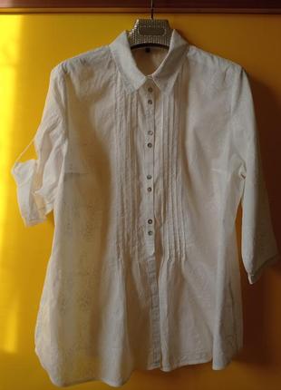 Блуза біла, блузка біла.