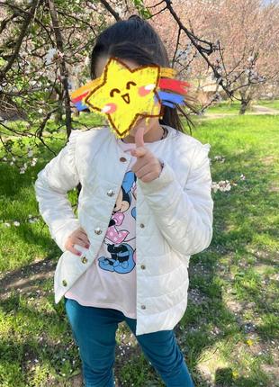 Демисезонная куртка ветровка