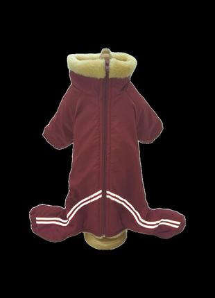 Комбинезон для собак на меху 28*40 йорк 1