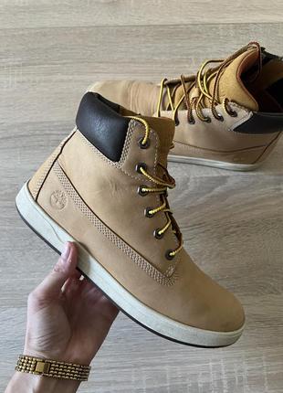 Черевики осінні timberland