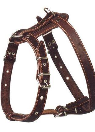 Шлея для собак "боксер 2" шкіра коричневий
