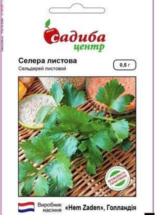 Семена сельдерея листового 0,5 г, hem zaden maxx shop