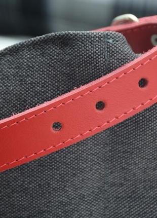 Нашийник для собак весна шкіряний червоний 4,5/56-66