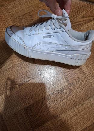 Prezzo puma sale