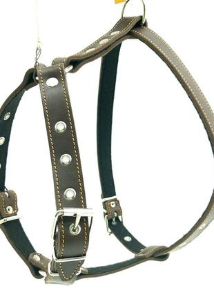Шлейка кожаная  для собак "стаффорд "1 коричневый