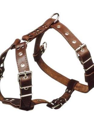 Шлейка для собак "ротвейлер" кожаная коричневый