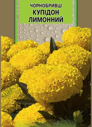 Чорнобривці купідон лимонні 0,5 г, імперія насіння