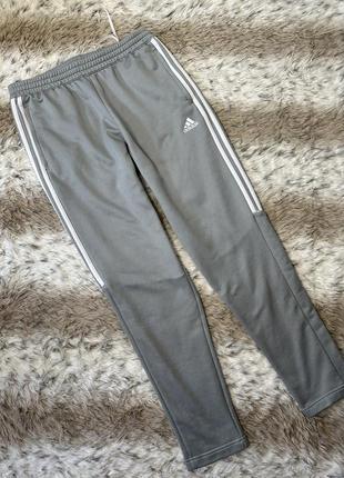 Оригинальные теплые брюки adidas