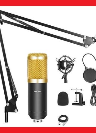 Конденсаторный микрофон студийный m-800 pro-mic