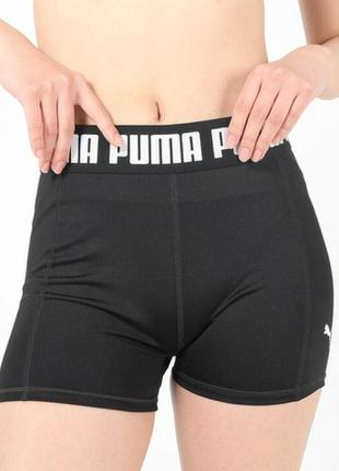 Шорты puma