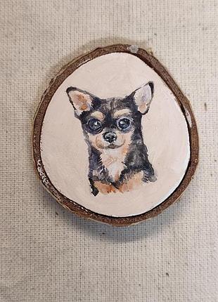 Картина чихуахуа