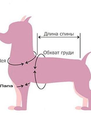 Комбинезон для собак зимний норд серый4 фото