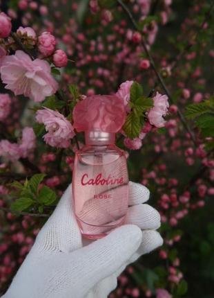 Daisy rose perfume hotsell