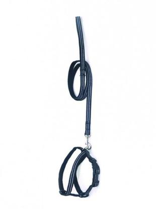 Комплекти для малих собак, кішок, кроликів неон чорний