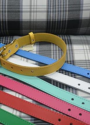Ошейник для собак весна кожаный6 фото