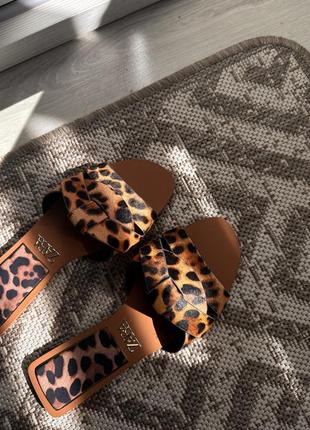 Женские тапочки zara