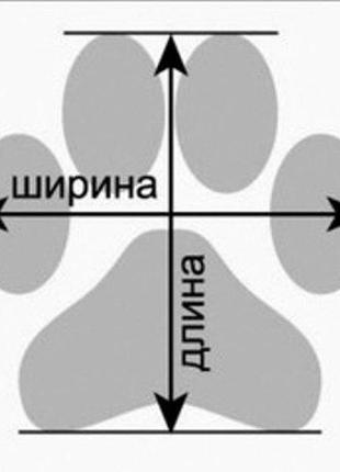 Защитная обувь ботинки для собак4 фото