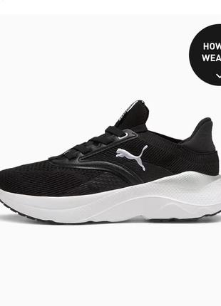 The puma