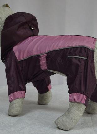 Одяг для собак комбінезон-дощовик тіма 21х27 см5 фото