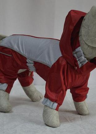 Одяг для собак комбінезон-дощовик тіма 21х27 см4 фото