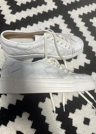 Кросівки кеди varese