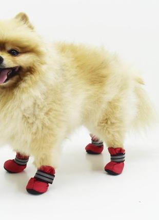 Обувь ботинки для собак фанат красные мини №0-4х5х9