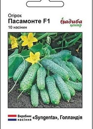 Семена огурцов пасамонте f1 10 шт, syngenta maxx shop