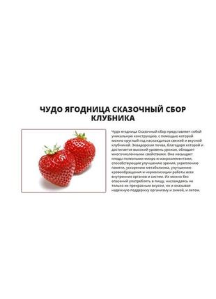 Диво-ягодница казковий збір – набір для вирощування полуниці на підвіконні4 фото