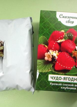 Диво-ягодница казковий збір – набір для вирощування полуниці на підвіконні2 фото