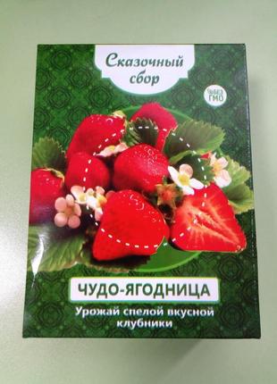 Диво-ягодница казковий збір – набір для вирощування полуниці на підвіконні3 фото