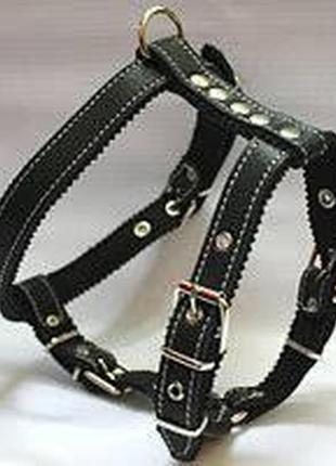 Шлейка кожаная  для собак "стаффорд "1