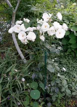 Опора для рослин напівкругла 800*260 мм