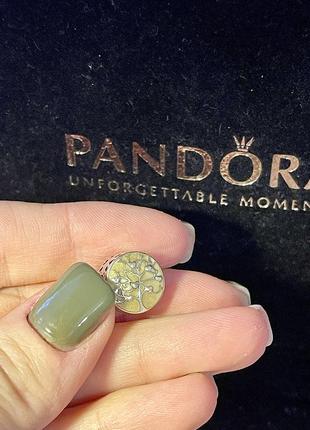 Шарм pandora пандора сімейне дерево