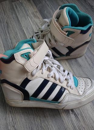 Сникерсы кроссовки adidas р.37/381 фото