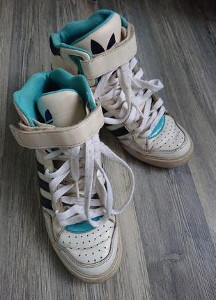 Сникерсы кроссовки adidas р.37/384 фото