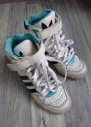 Сникерсы кроссовки adidas р.37/388 фото