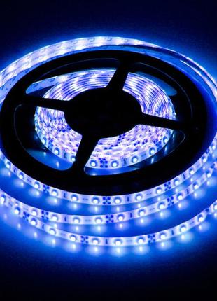 Світлодіодна стрічка biom smd2835-60 ip65 стандарт синя 1м