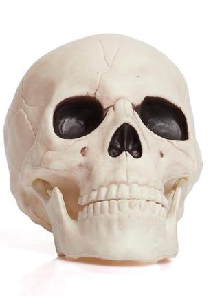 Декорація череп haunted house moving jaw skull