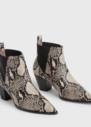 Стильные новые ботинки ted baker